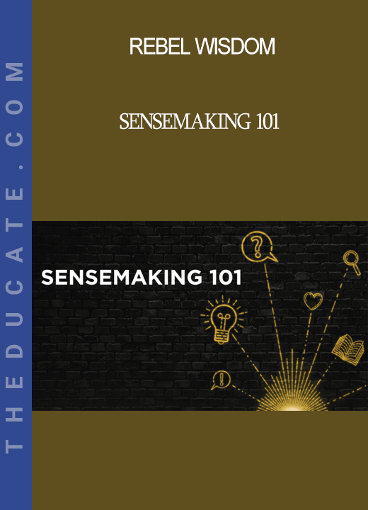 Rebel Wisdom - Sensemaking 101